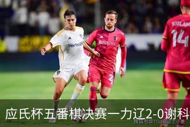 应氏杯五番棋决赛一力辽2-0谢科 率先拿到赛点